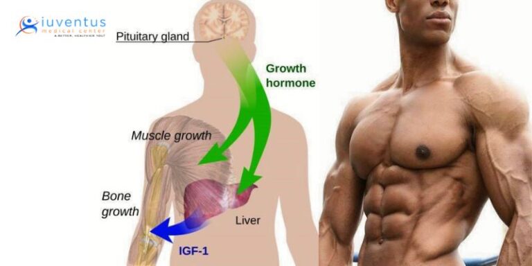 10 Benefits of Human Growth Hormone (HGH)