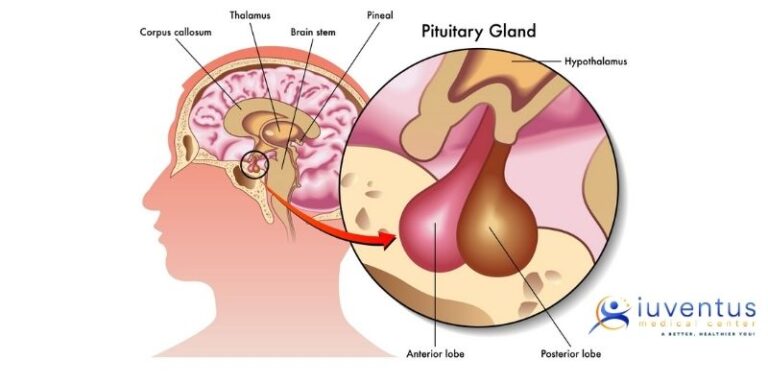 The Core Benefits of Human Growth Hormone (HGH) Therapy