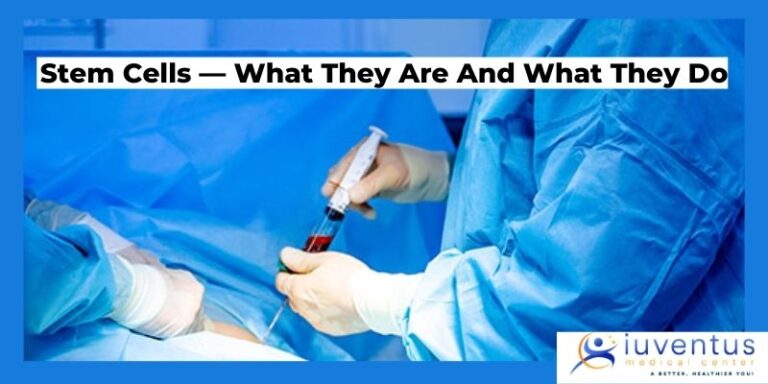 What Are Stem Cells and What do They Do?